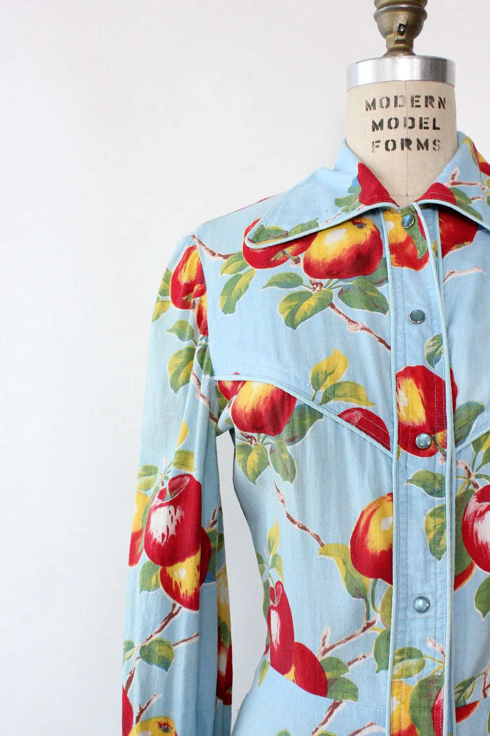 Apple Print 1940s Shirtdress S/M