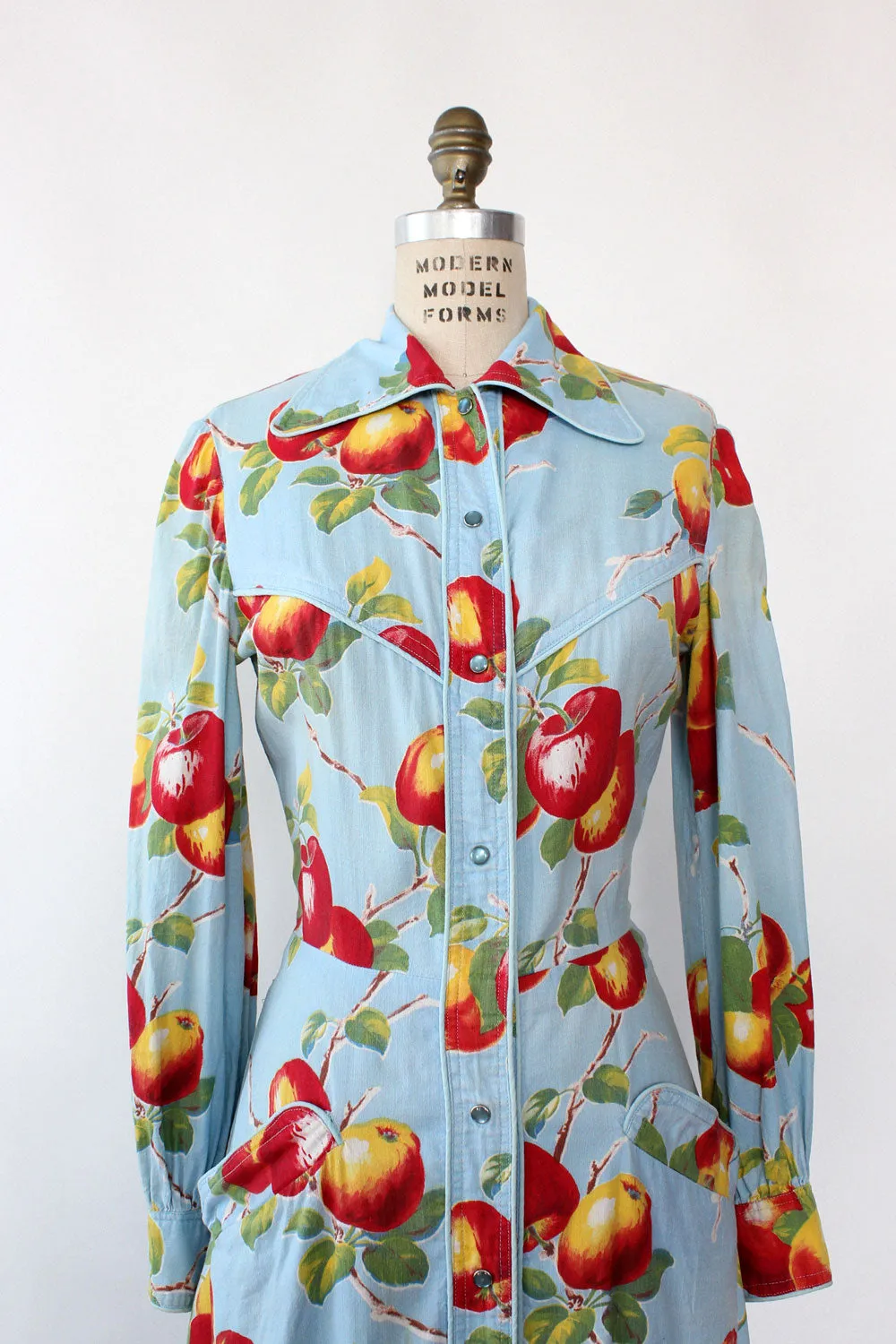 Apple Print 1940s Shirtdress S/M