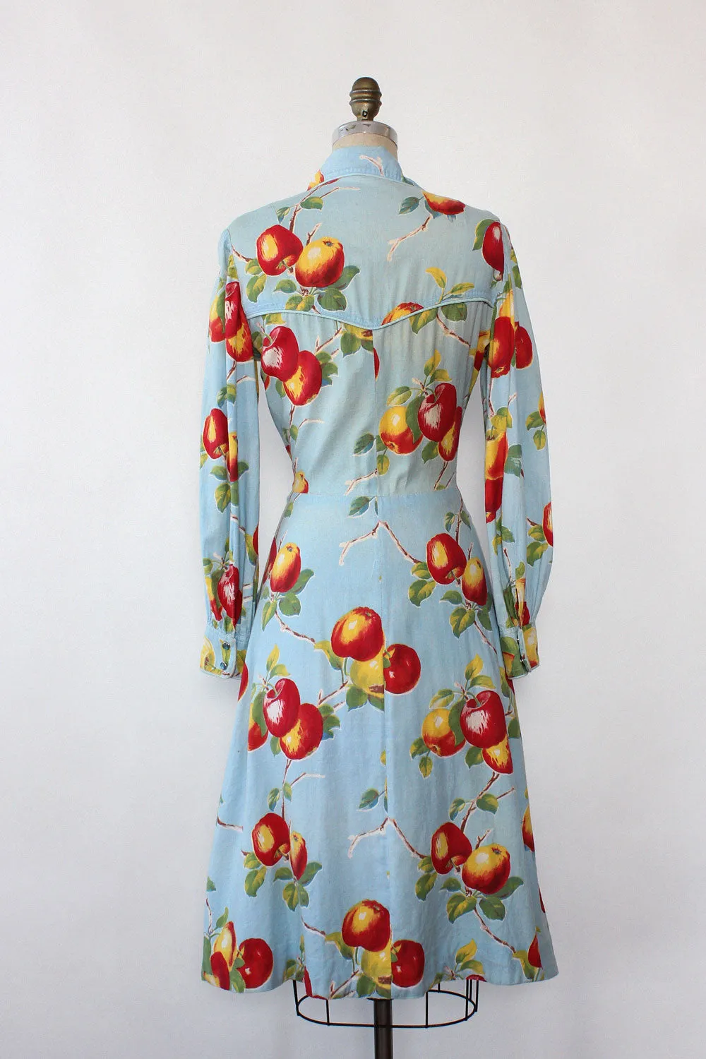 Apple Print 1940s Shirtdress S/M