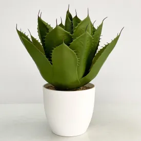 Crown Aloe Faux